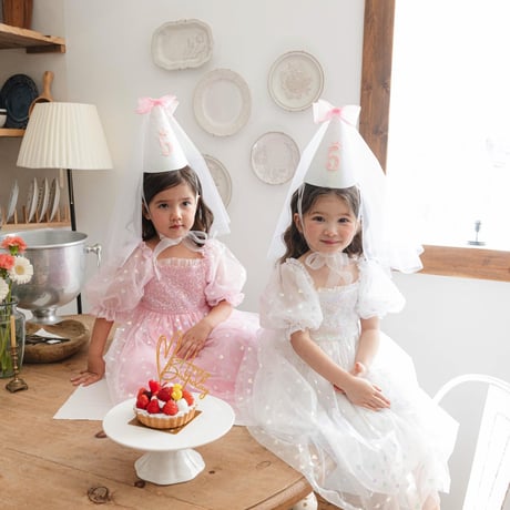 [予約] Birthday Fairy Dress/ Mini Recipe