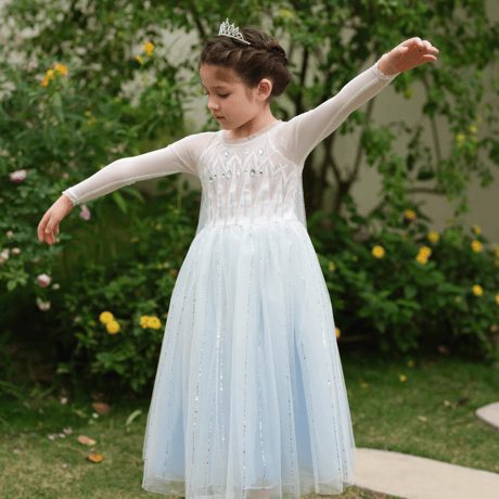 [予約] Frozen Ice Princess Dress (2 color)
