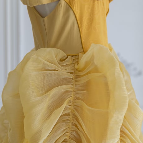 [予約] Belle Edition Rose Dress