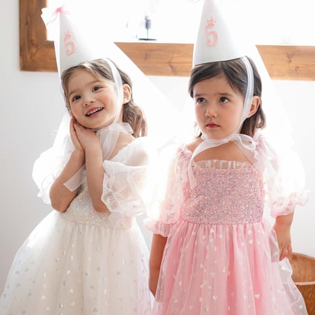 [予約] Birthday Fairy Dress/ Mini Recipe