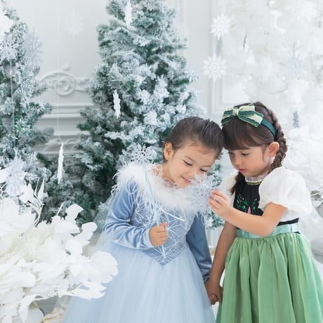 [予約]  princess nordic green dress