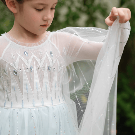 [予約] Frozen Ice Princess Dress (2 color)