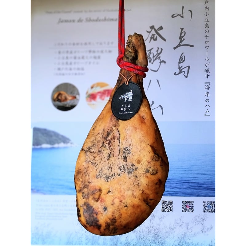 19ヶ月以上発酵熟成 生ハム原木（オリーブ夢豚）6kg （入門用生