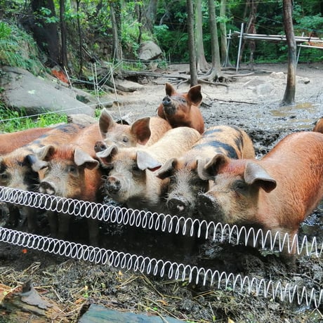 生ハムブロック１９ヶ月熟成 小豆島放牧豚 417ｇ