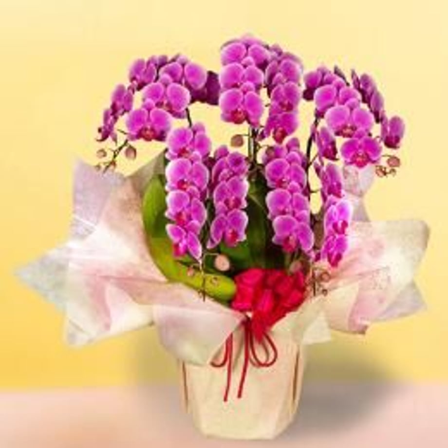 6313132925c9065dbbe7ed71
