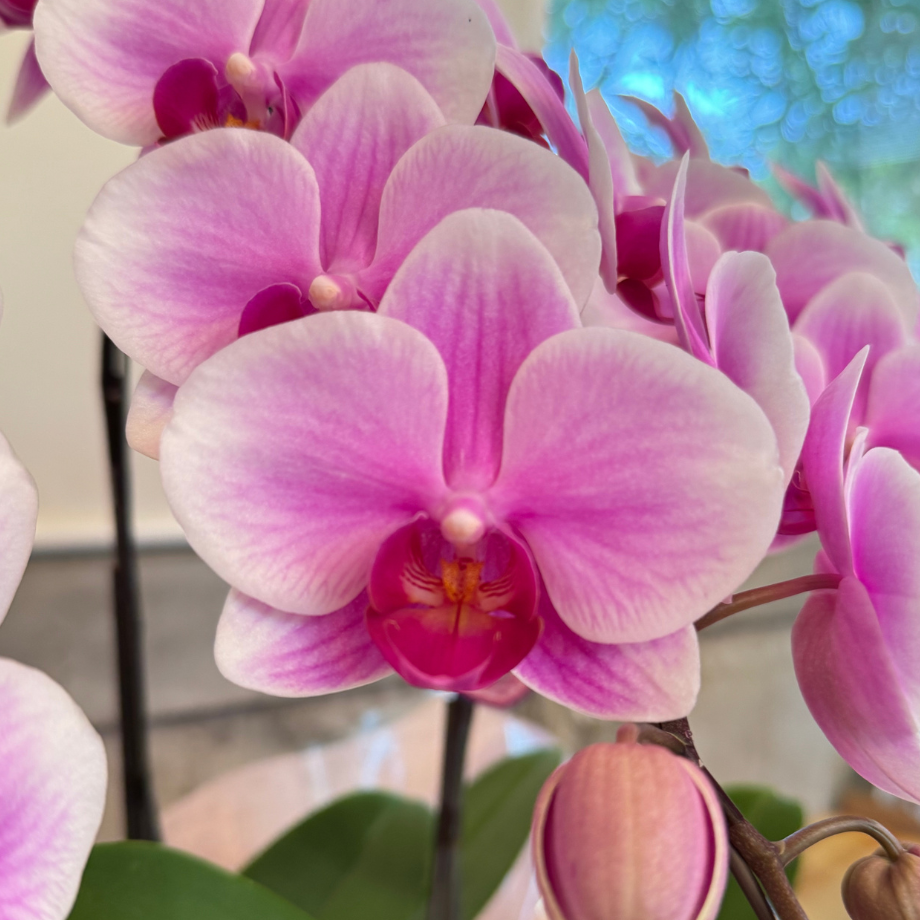 6378a2814ff8c25ba3f90257