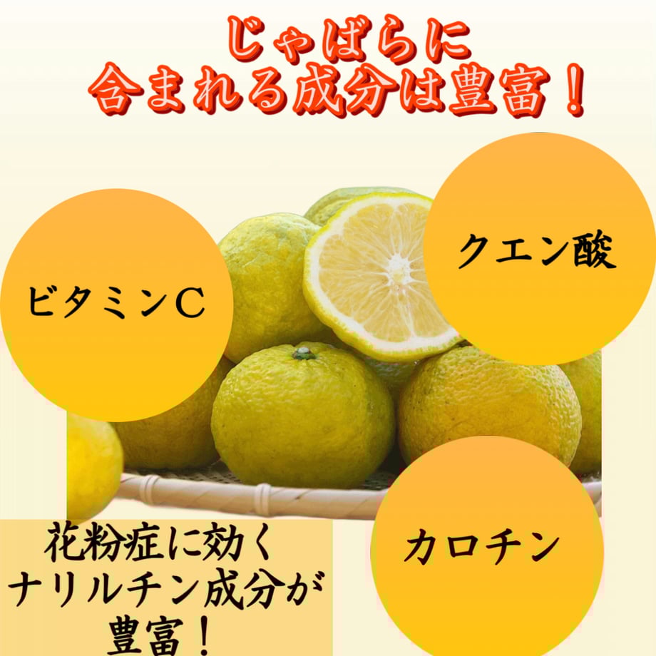 65afe10c380c3d0b7749521f