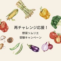 再チャレンジ応援！野菜ソムリエ受験キャンペーンのご案内