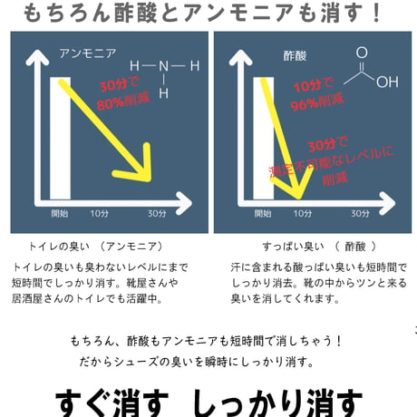 『DASHOE』消臭スプレー 日本製 靴の脱臭 臭い予防 植物由来 しっかり消す 臭いの原因全般 天然成分100%