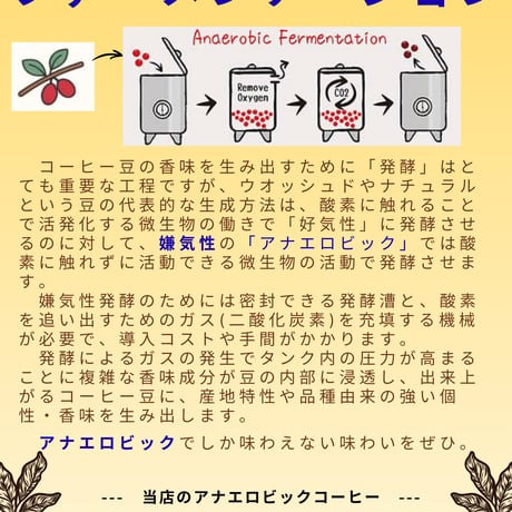 レッド キャッツアイ