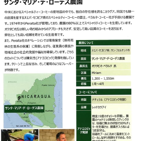 レッド キャッツアイ