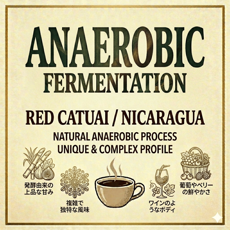 サンタマリア | にじいろコーヒー 直火焙煎珈琲豆店