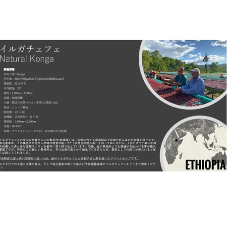モカ フレンチ