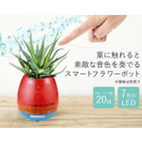 葉が奏でる・音と緑の癒し「スマートフラワーポット」K14237