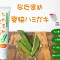 ナチュメイト　なたまめ爽快ハミガキ120g K14769