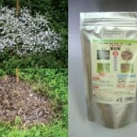 粉末除草剤　ウィードブライト　　　１ｋｇ K7783
