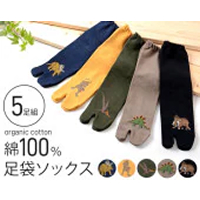 国産ｵｰｶﾞﾆｯｸｺｯﾄﾝ恐竜柄 柄おまかせ足袋ｿｯｸｽ５足組）K14158