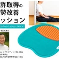 姿勢美サポートクッション　ZAGOO K14366