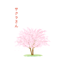 サクラさん 　エンドレスライス