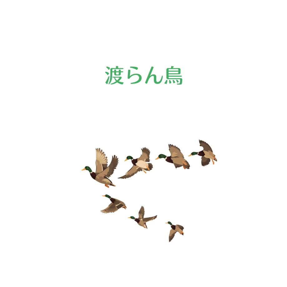 69796a266e449526c4f70521