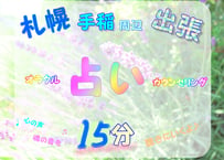 出張対面セッション【15分】　札幌市手稲区周辺出張占い　カードリーディング 　人生相談