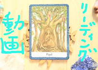 【動画でお届け！】オラクルカードリーディング