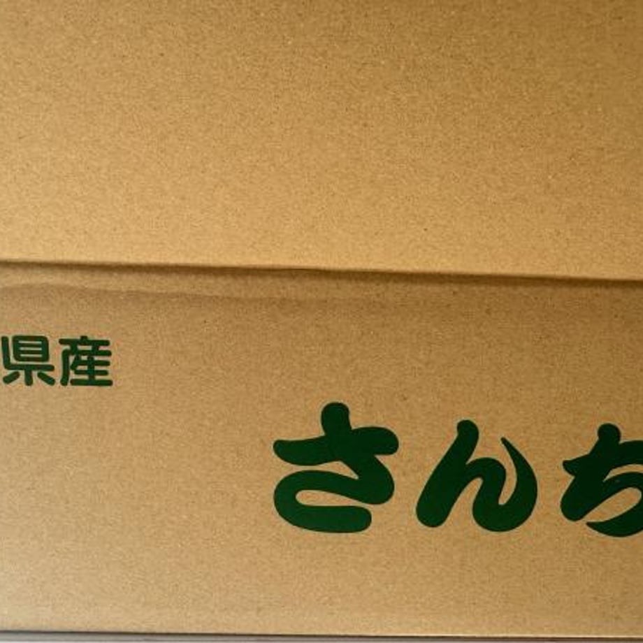 69266ef24fbfd13376368fbb