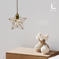 Bleis ペンダントライト照明 1灯 Lサイズ ワイヤー if-01093