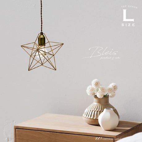 Bleis ペンダントライト照明 1灯 Lサイズ ワイヤー if-01093