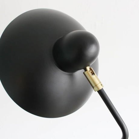 Arles フロアライト 照明 1灯 ブラック 電球付き dc-f04472