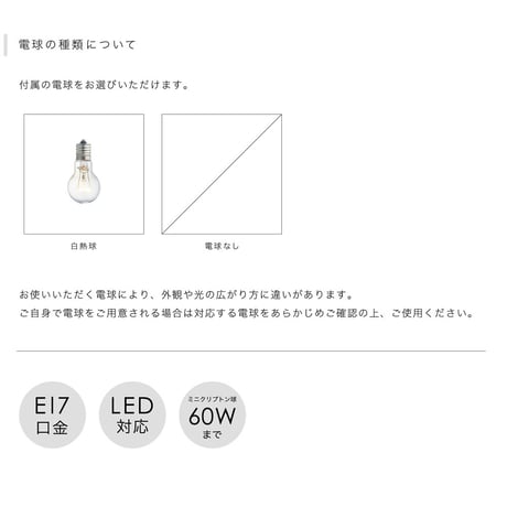 Bleis ペンダントライト照明 1灯 Sサイズ ワイヤー if-01088