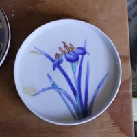 染錦花唐草文輪花皿 | 辻精磁社 つじのくら
