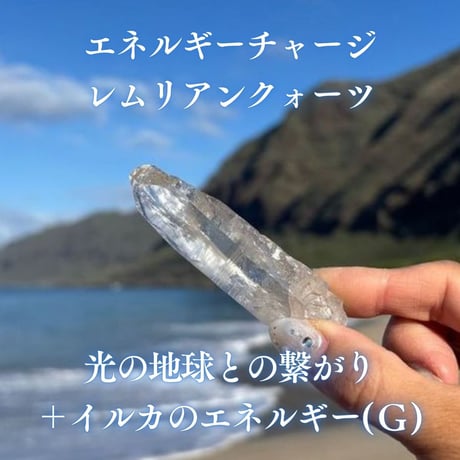 エネルギーチャージレムリアンクォーツ　～光の地球との繋がり＋イルカのエネルギー～ ( G )