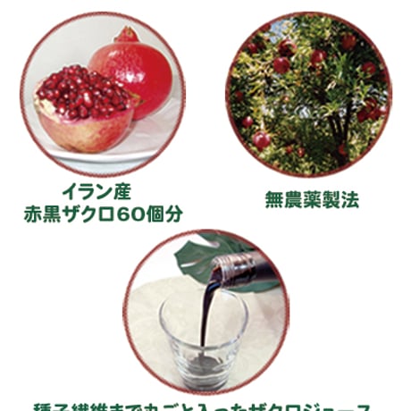 【定期便】クィーンズザクロ 500ml