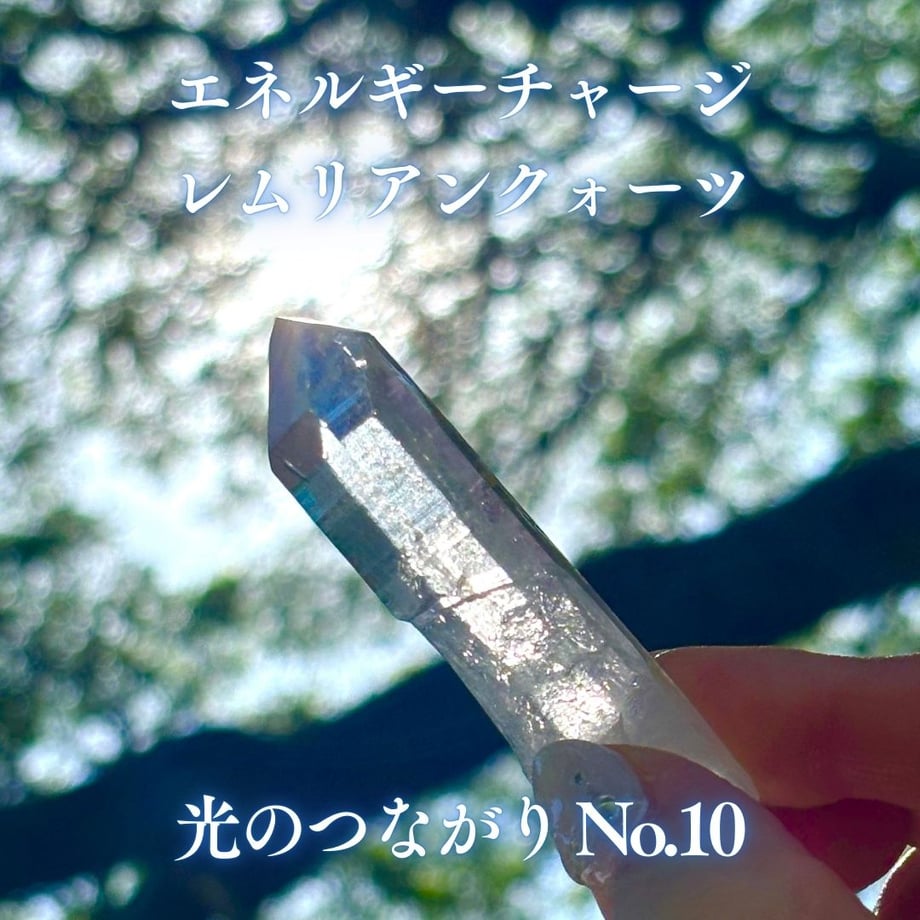 6791b29bc2d1e40632511b7e