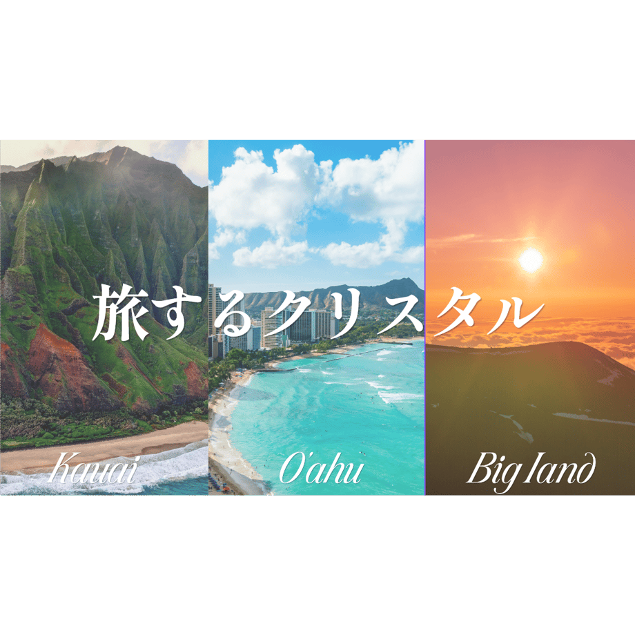 69f322579a7b21006b7576f9