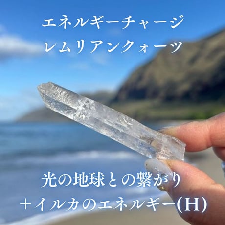 エネルギーチャージレムリアンクォーツ　～光の地球との繋がり＋イルカのエネルギー～ ( H )