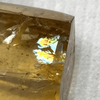 シトリンポインター （レインボー入り）