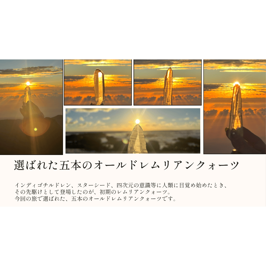 69f322579a7b21006b7576f9