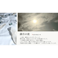 【ハワイチャージ】アルプスブルーフローライト