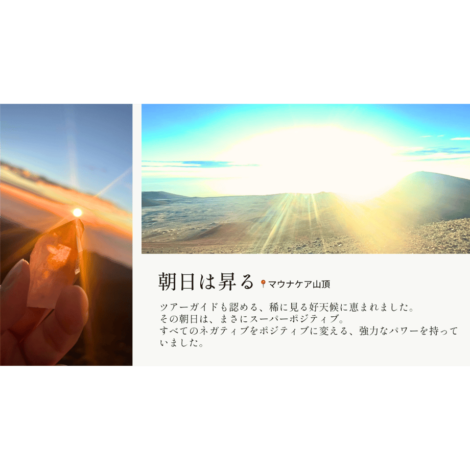 69f320c83cea4a5d294f8845