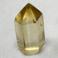 シトリンポインター