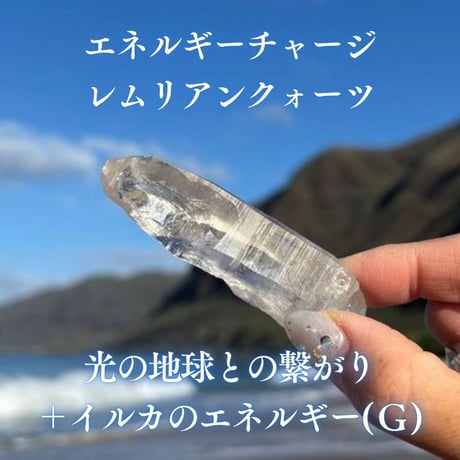 エネルギーチャージレムリアンクォーツ　～光の地球との繋がり＋イルカのエネルギー～ ( G )