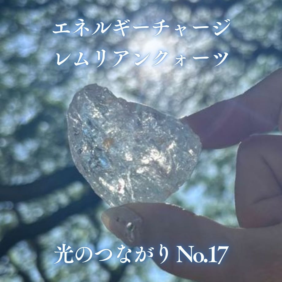 6791b3a94cf9ac060305542a
