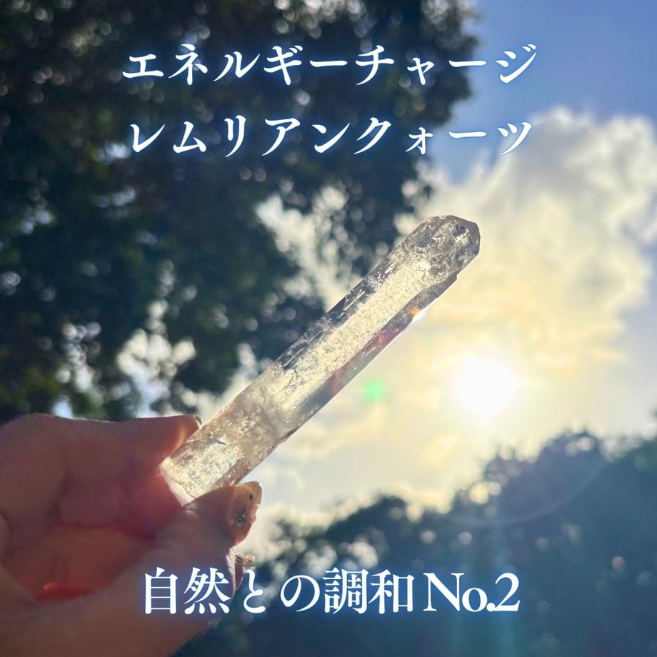6791bab700d7d5002b0b708c