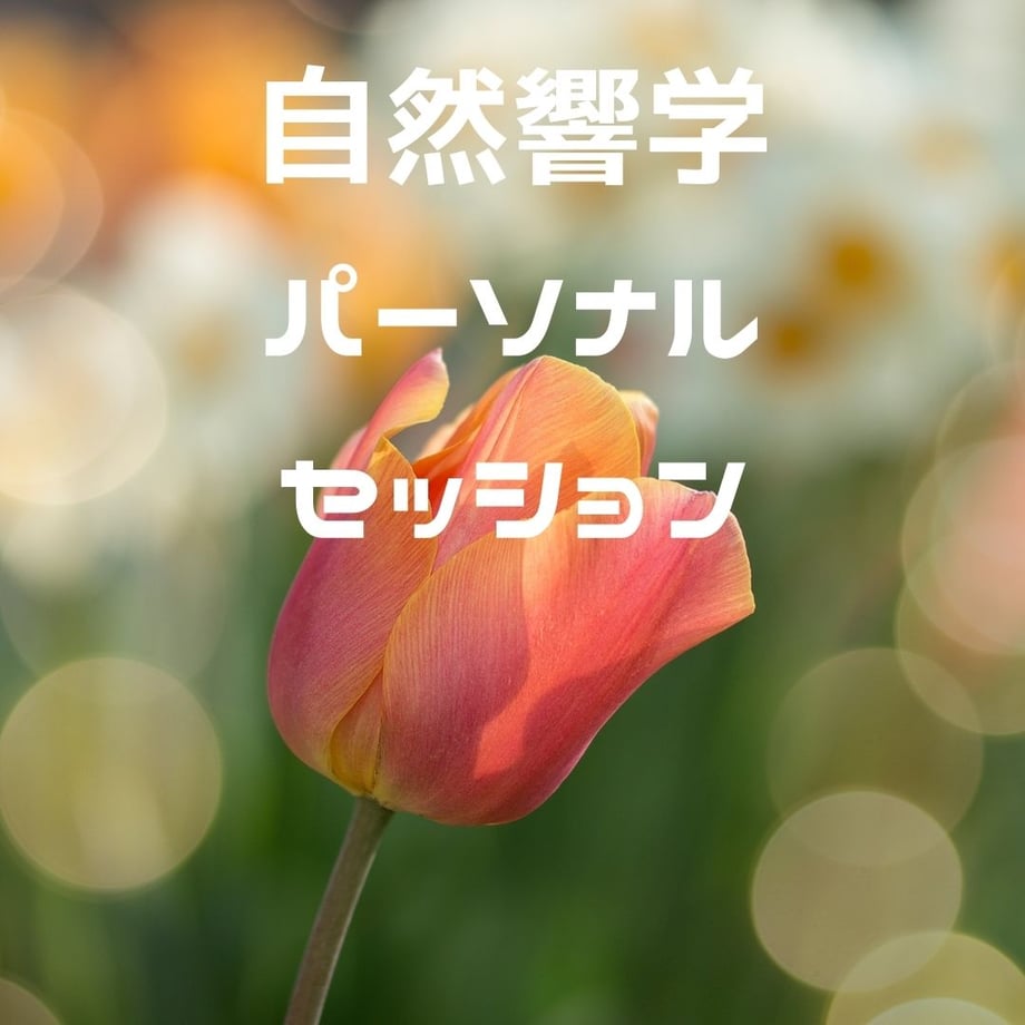 63bf68ca791d0211dac07471