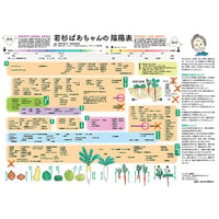 若杉ばあちゃんの陰陽表 A3サイズ版