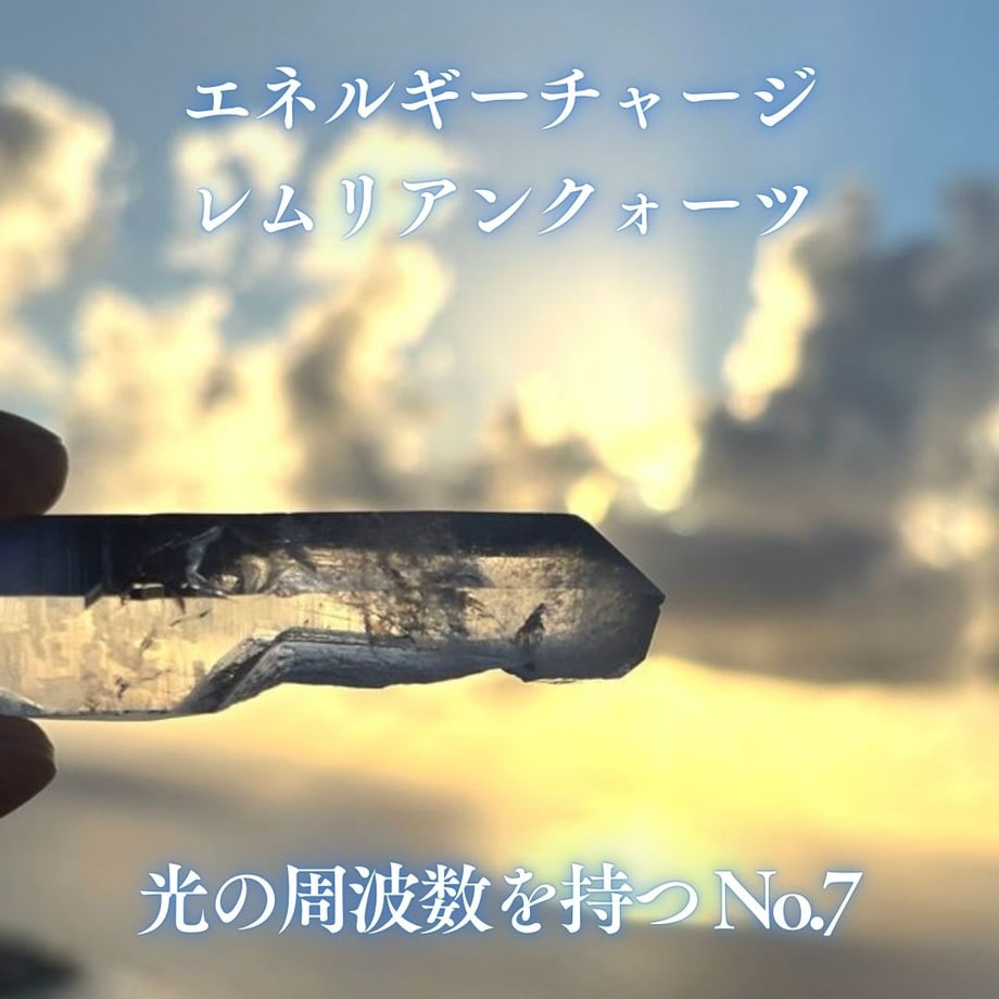 6791b7d391f26e020cb78a85