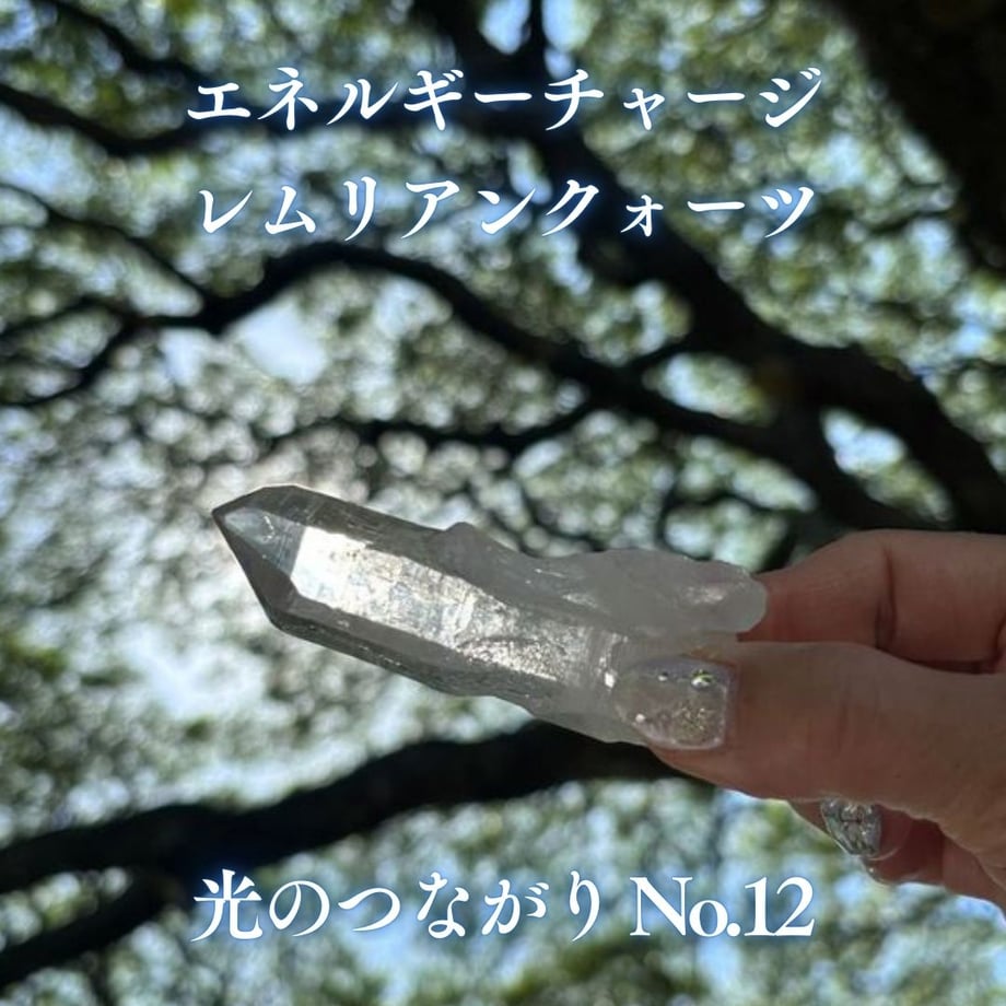 6791b2e14cf9ac05f505544e