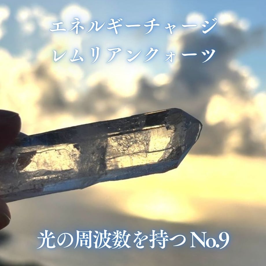 6791b7fed7091d0236353630